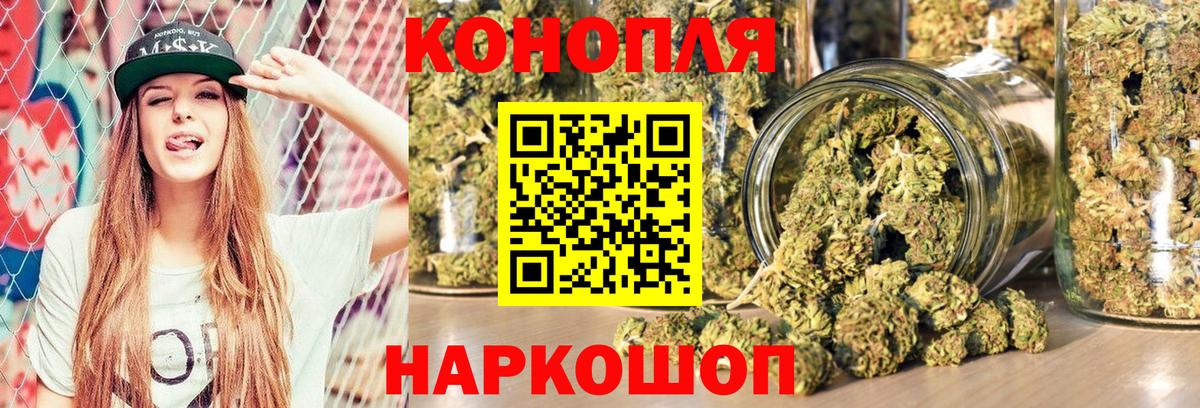 Каннабис сатива Сосновый Бор
